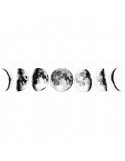 MOON PHASES