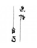 ENCRE CHINOISE